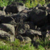keetterinmaki1_tb (5K)