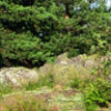 keetterinmaki2_tb (6K)