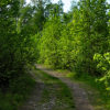 kipervuori1_tb (4K)