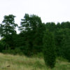 komonen5_tb (3K)