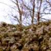 kuninkaanhauta4_tb (6K)