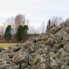 kuninkaanhauta5_tb (4K)