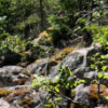 linnamaki1_tb (6K)