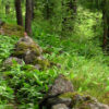 muikunvuori2_tb (5K)