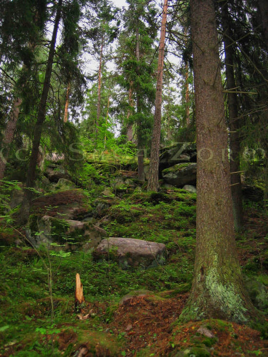 muikunvuori7 (211K)