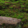 muikunvuori7_tb (4K)