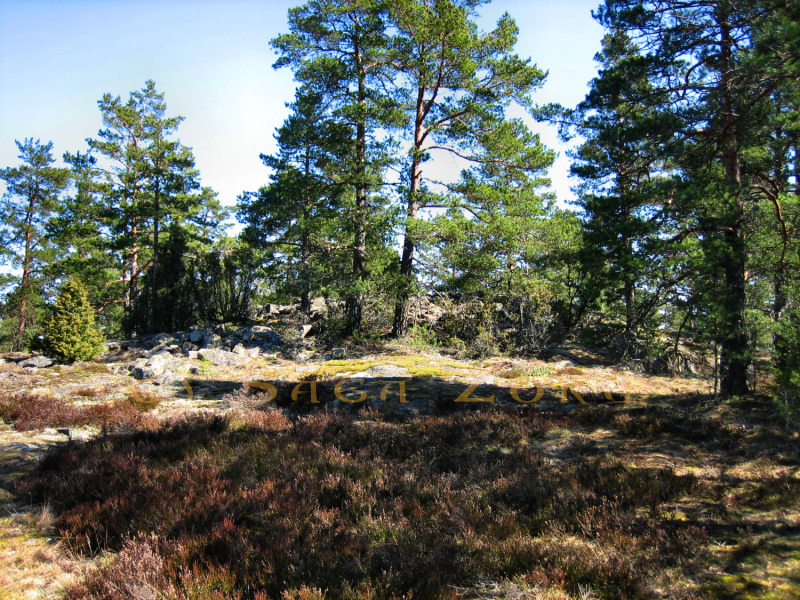pohtionvuori1 (286K)