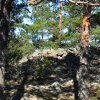 pohtionvuori2_tb (7K)