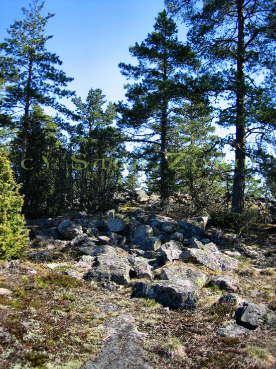 pohtionvuori4 (257K)