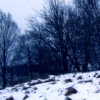 radanvierus1_tb (4K)