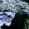 ylinen4_tb (6K)
