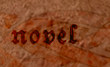Online Novel